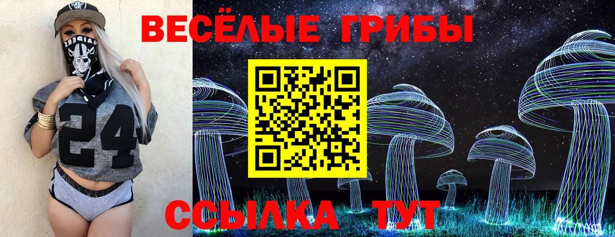 Галлюциногенные грибы прущие грибы Пушкино