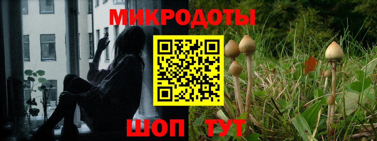 Пушкино  Псилоцибиновые грибы Cubensis  Вход с VPN  Псилоцибиновые грибы мицелий 