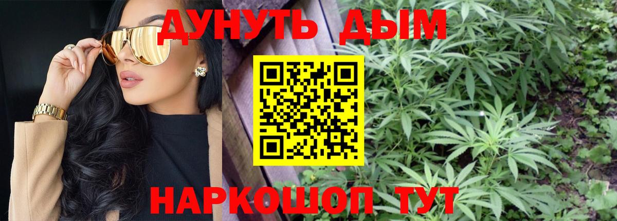 Конопля конопля  Вход с VPN  Бошки Шишки тримм  Пушкино 